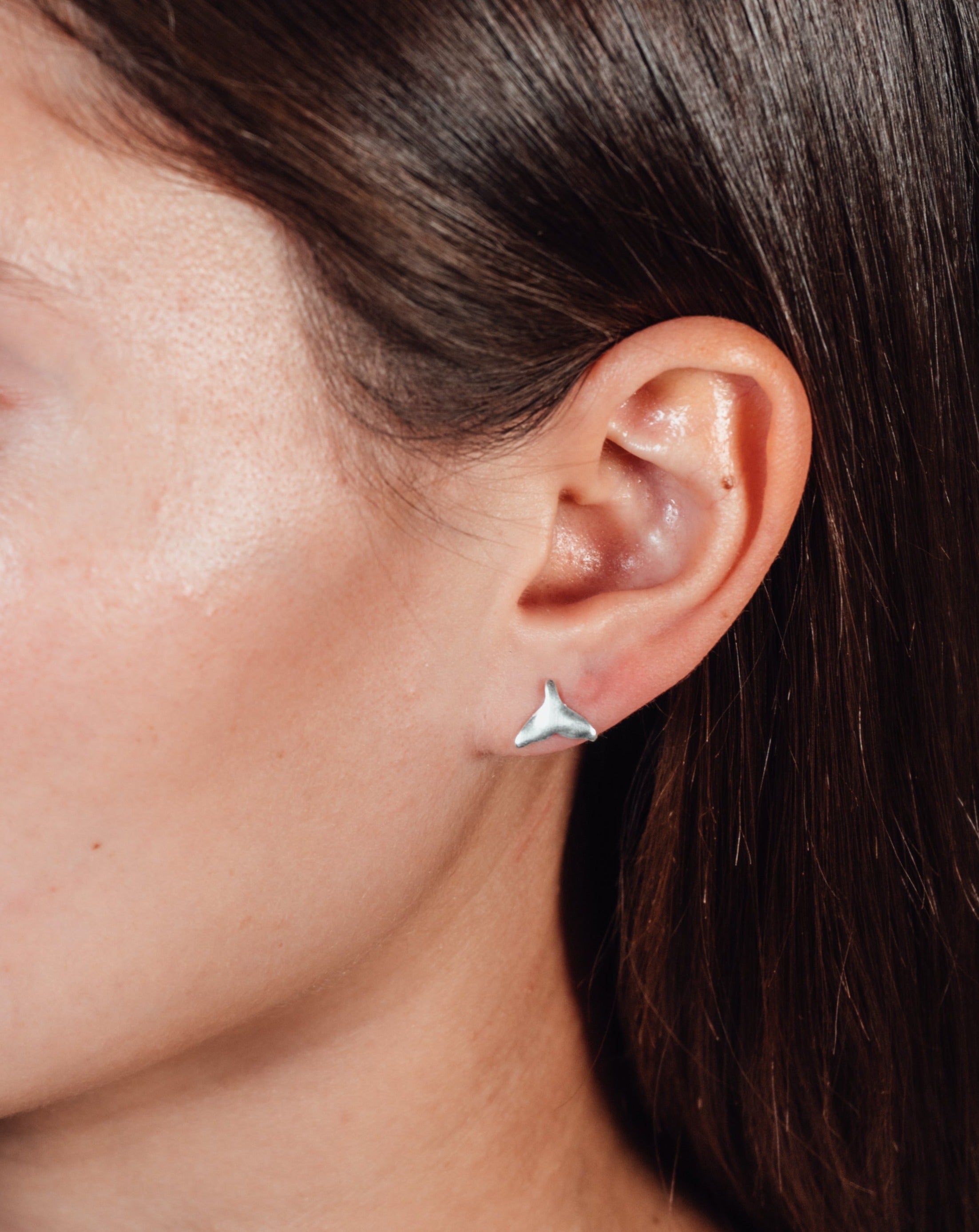 Pendientes Fiji